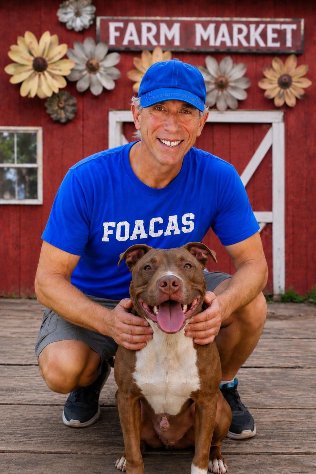 William , ADOPTABLE, Young Male American Staffordshire Terrier.