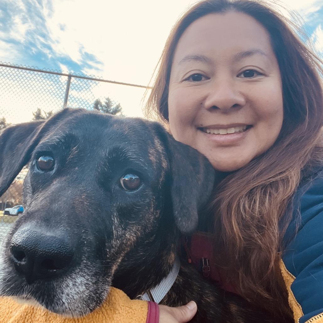 Enlarge Missy, a Adoptable mixed breed in Fairfax, VA image 2/6