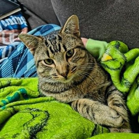 Bubba — thumbnail 2