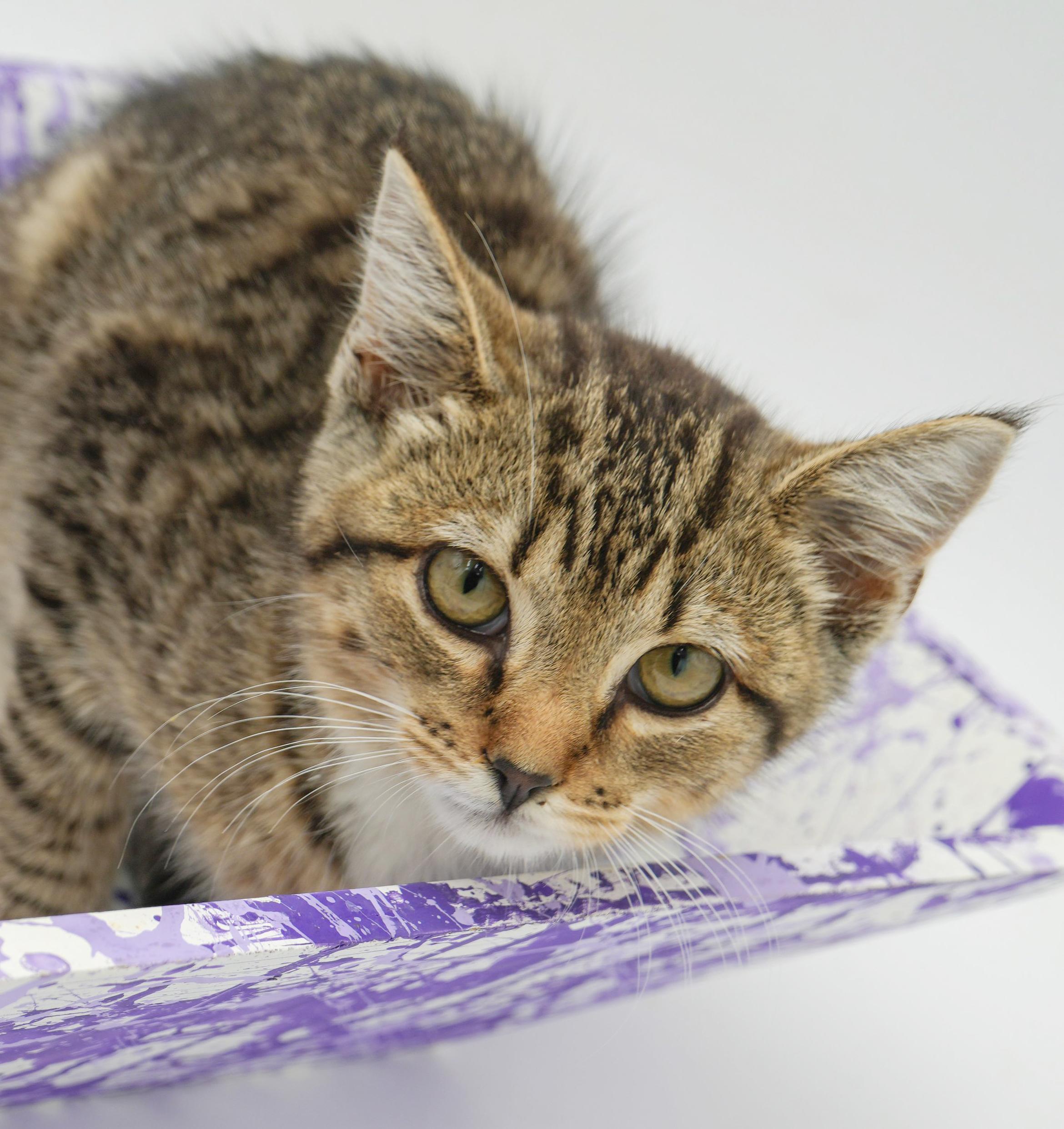 Liberty is so darn sweet and look at her sweet face!  SO CUTE!