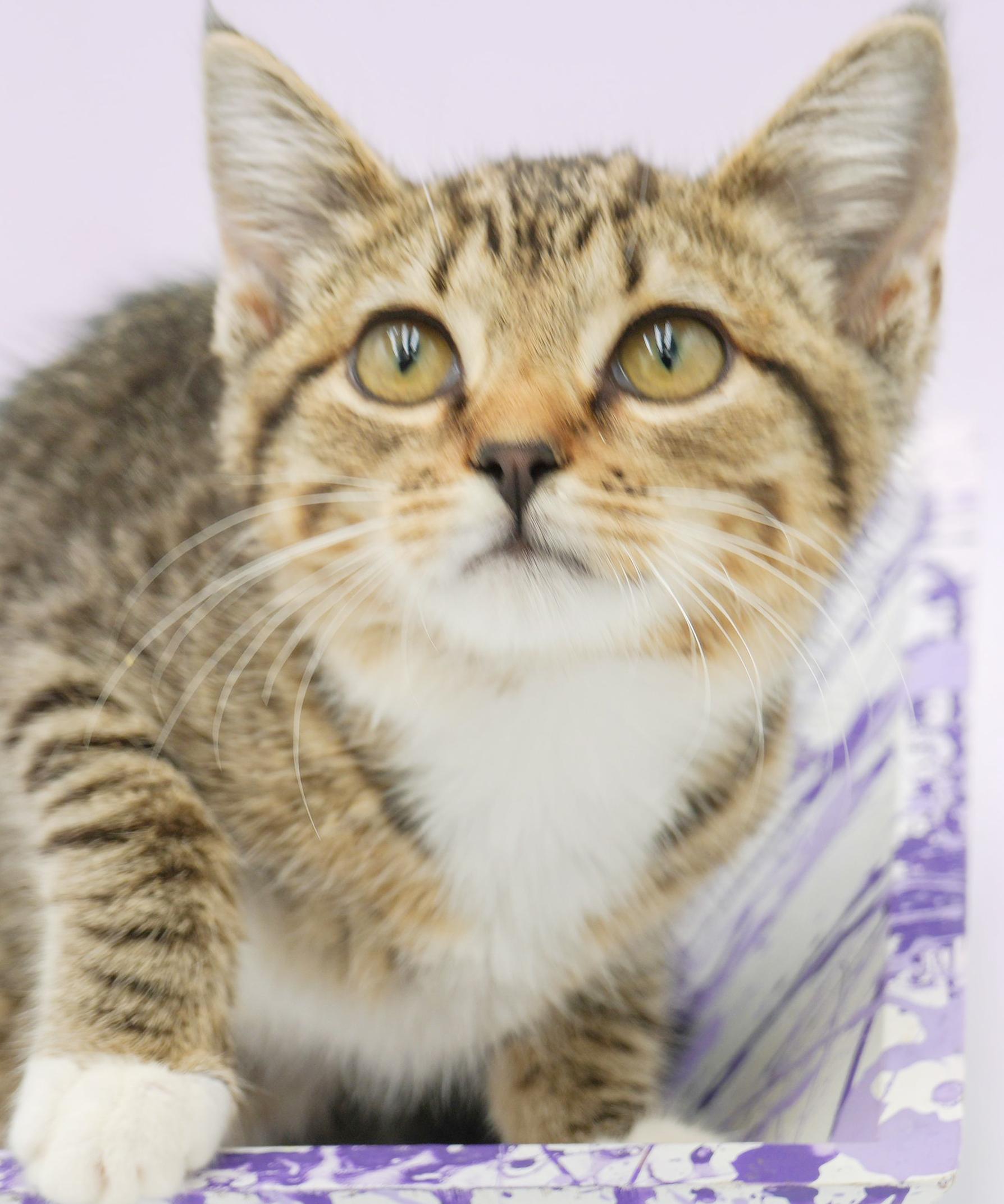 Liberty is so darn sweet and look at her sweet face!  SO CUTE!