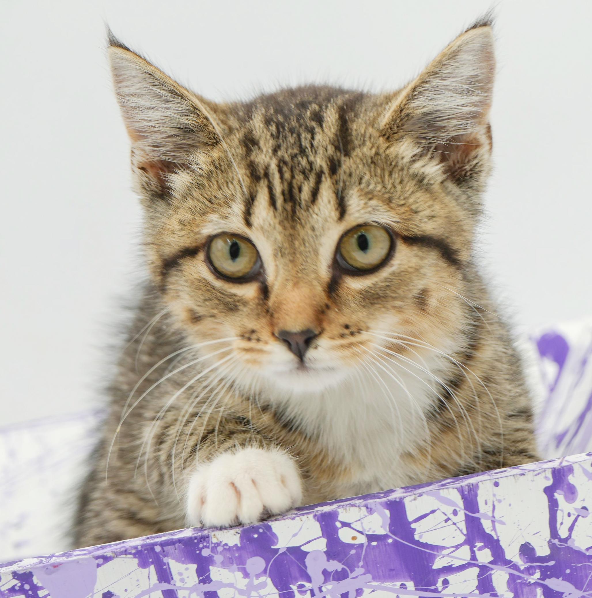 Liberty is so darn sweet and look at her sweet face!  SO CUTE!