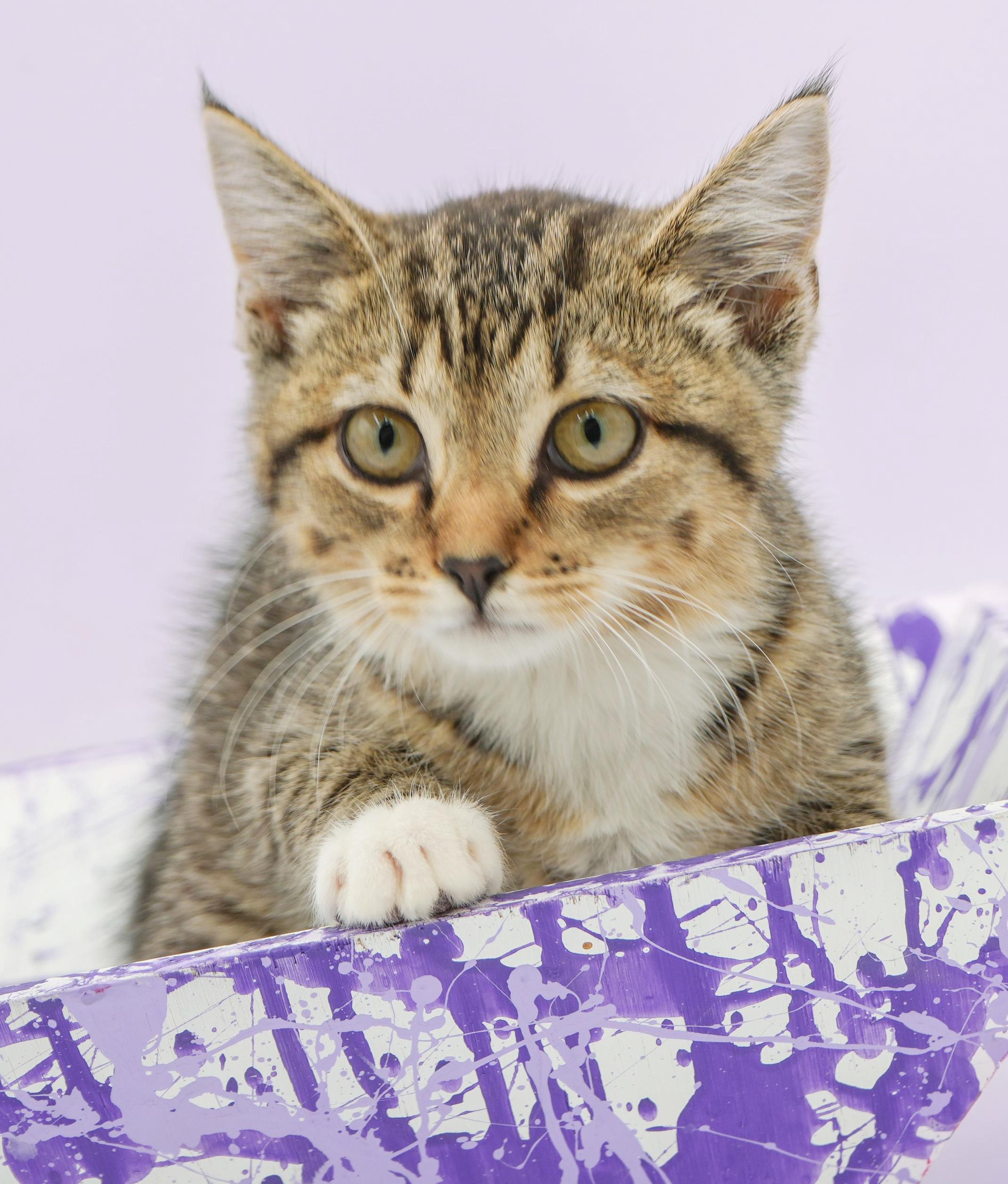 Liberty is so darn sweet and look at her sweet face!  SO CUTE!