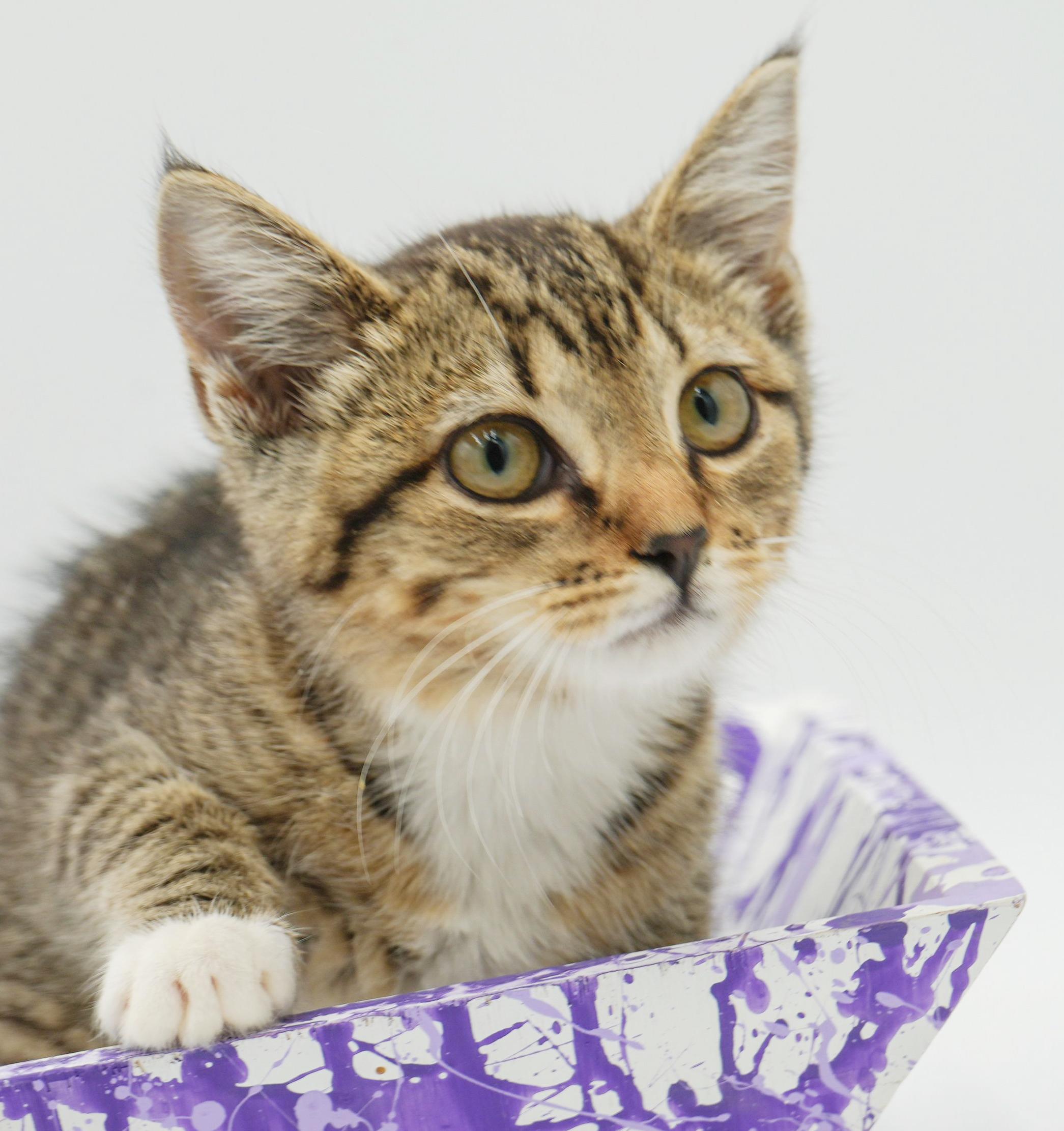 Liberty is so darn sweet and look at her sweet face!  SO CUTE!