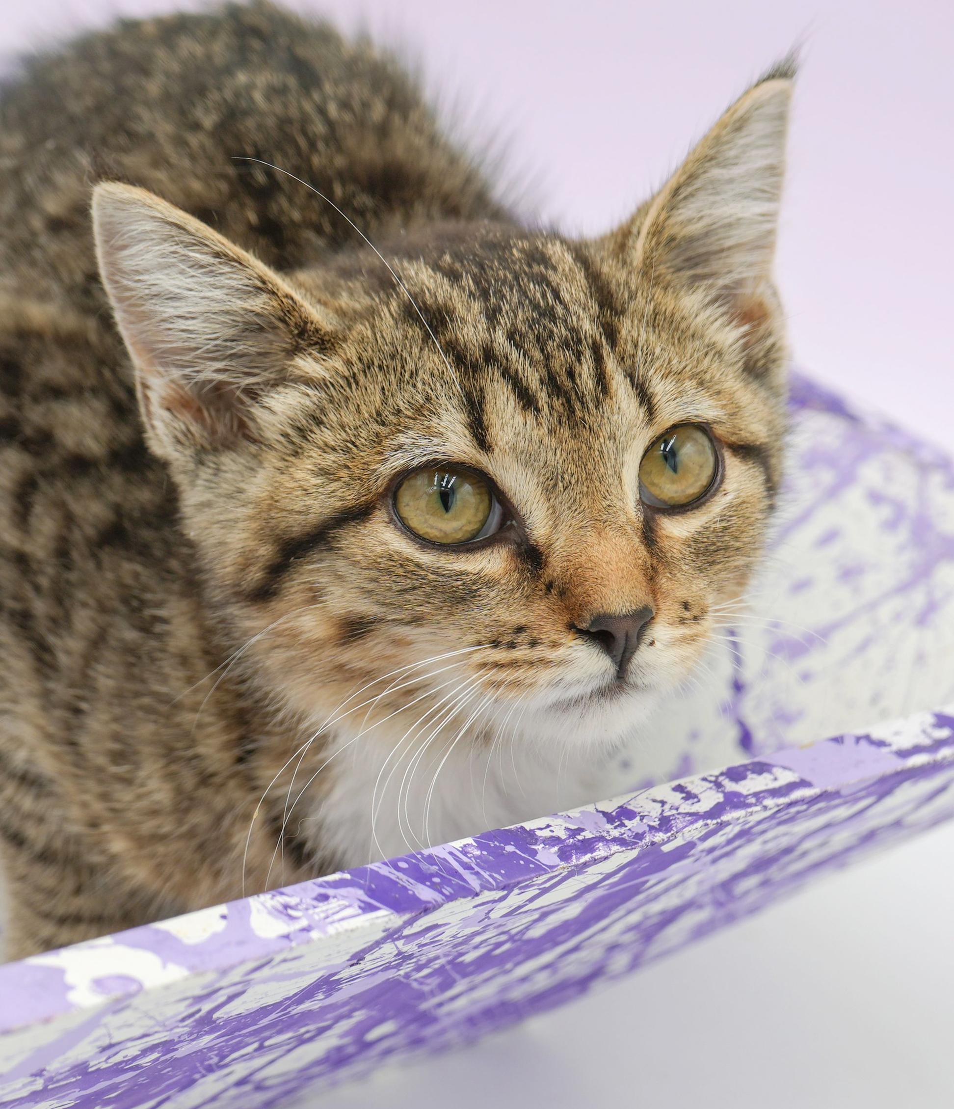Liberty is so darn sweet and look at her sweet face!  SO CUTE!