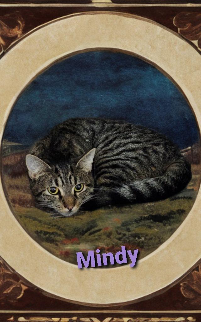Mindy, a Adoptable mixed breed in Jim Thorpe, PA image 3/3