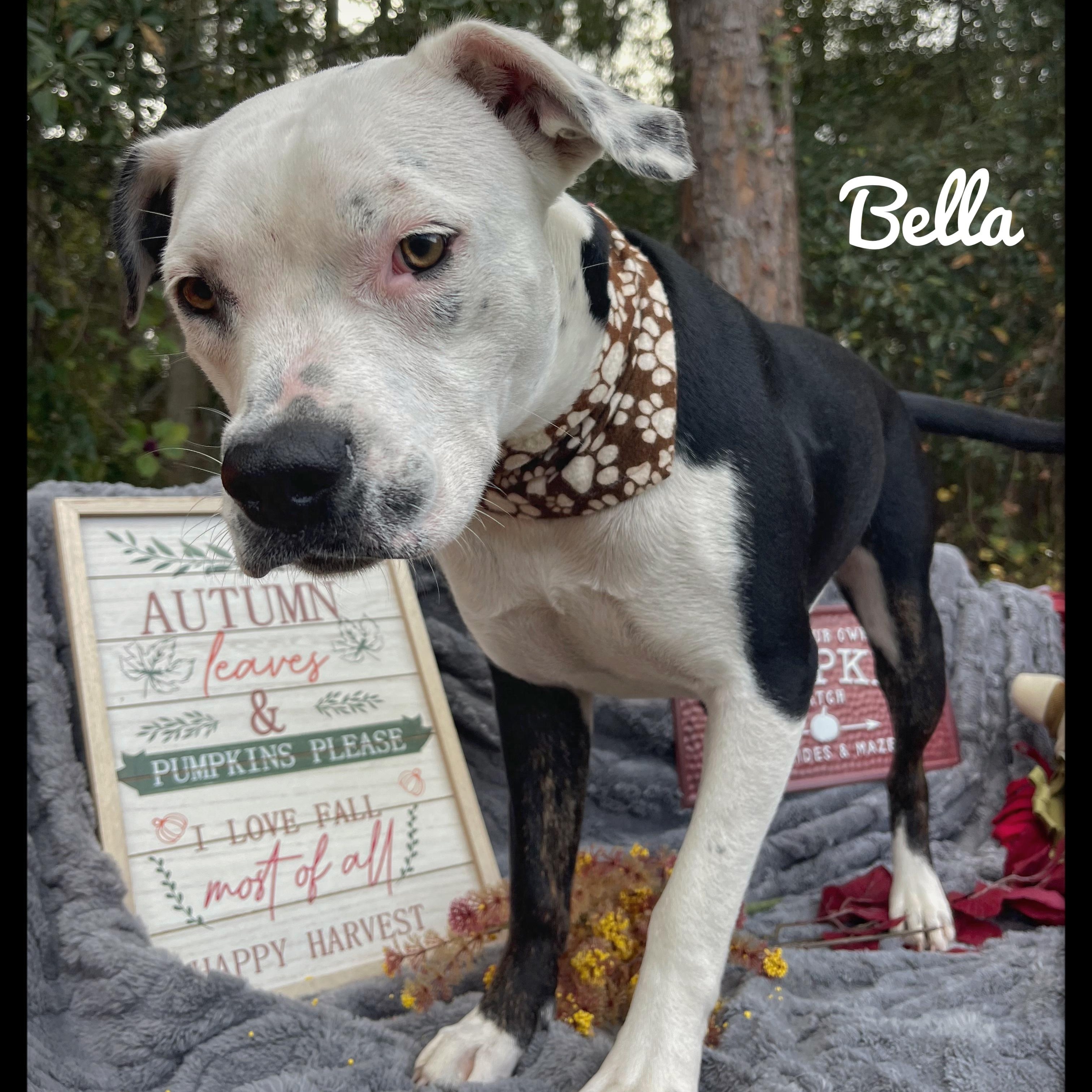 Bella