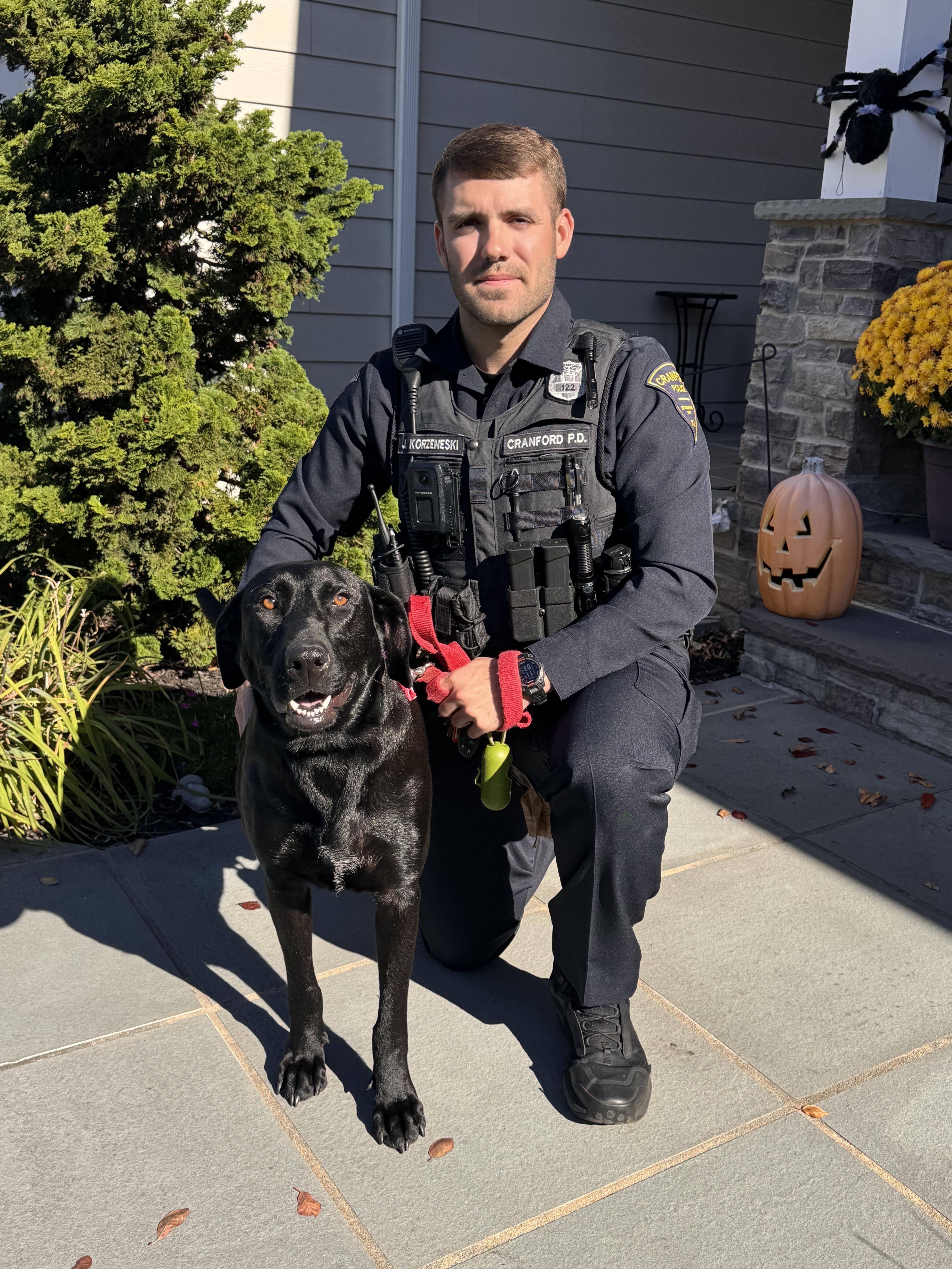 Roxy - In NJ, Adoptable, Young Female Black Labrador Retriever.