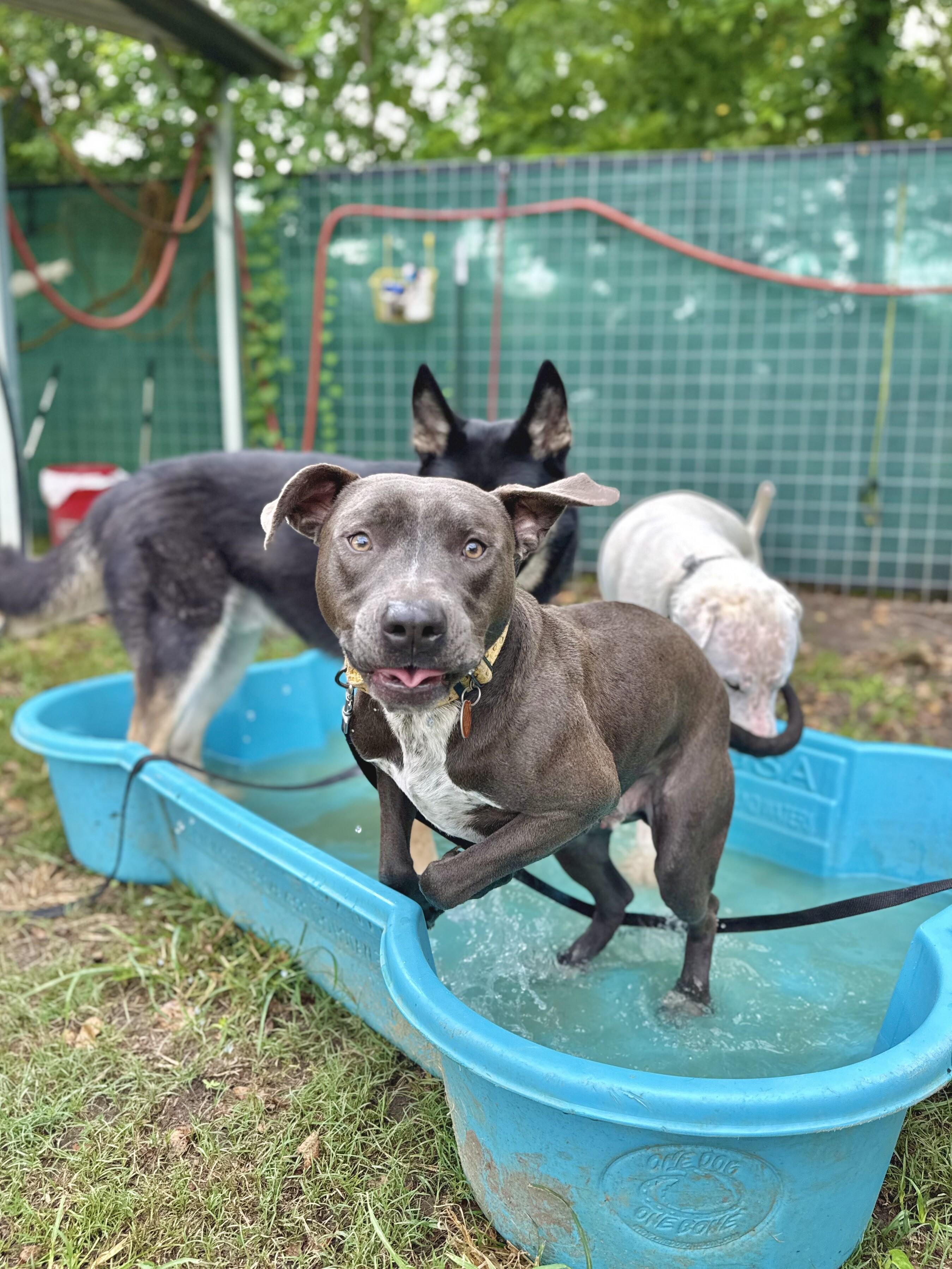 Sammy Simply so sweet