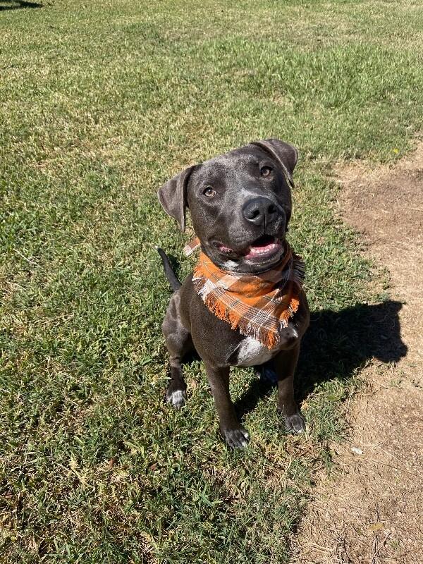 Sammy Simply so sweet — thumbnail 2