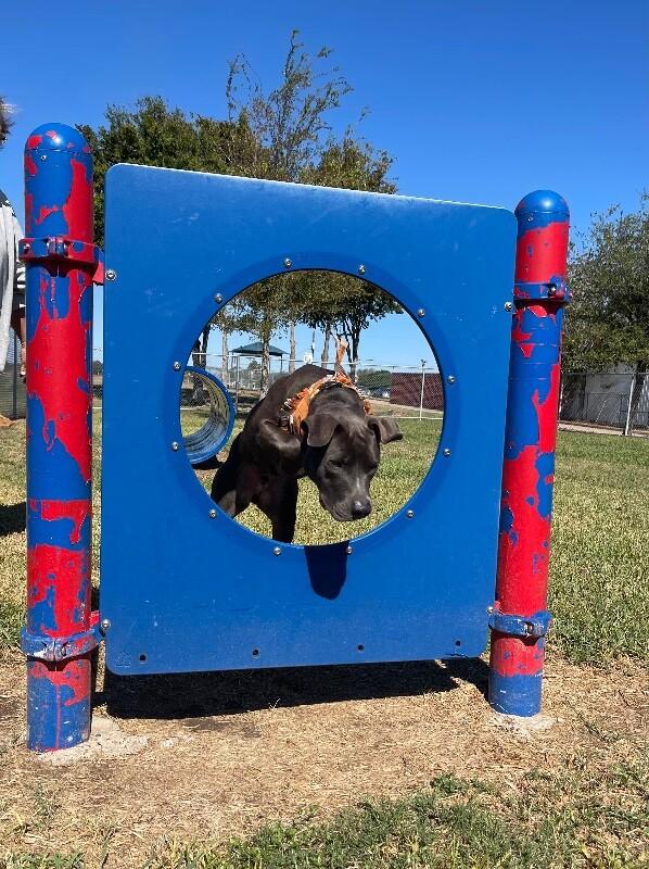 Sammy Simply so sweet — thumbnail 4