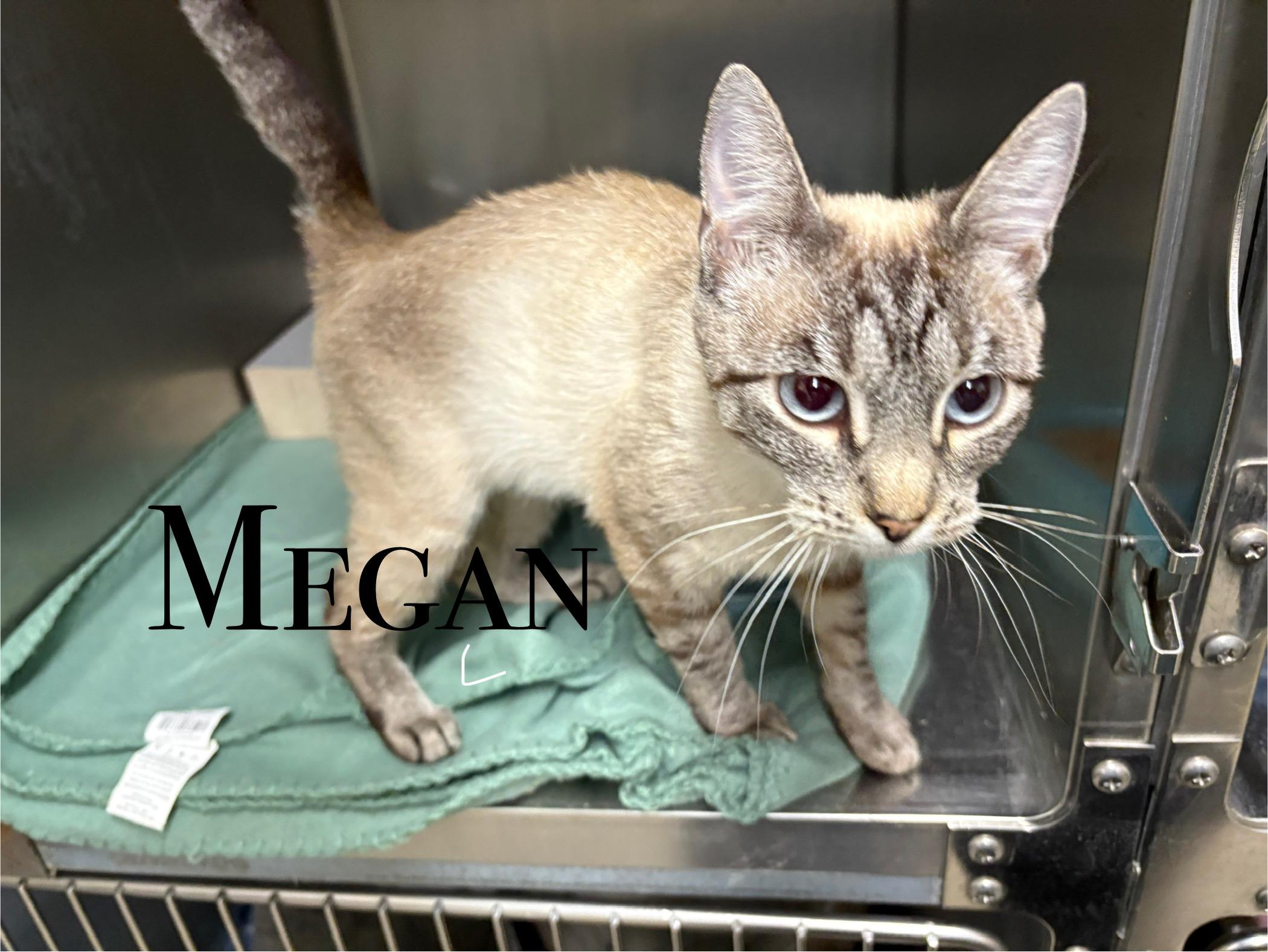 Megan
