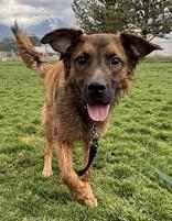 Copper