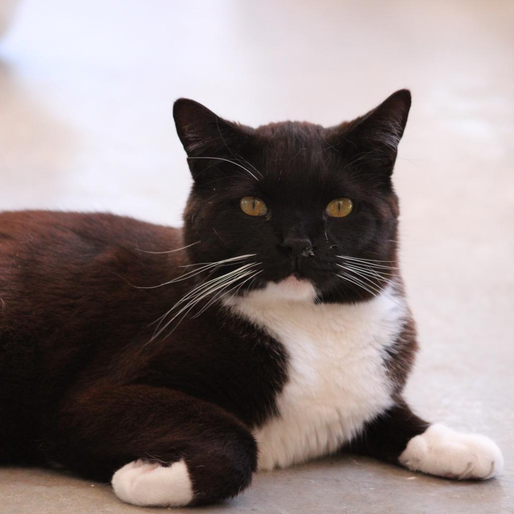 Aaron — thumbnail 2