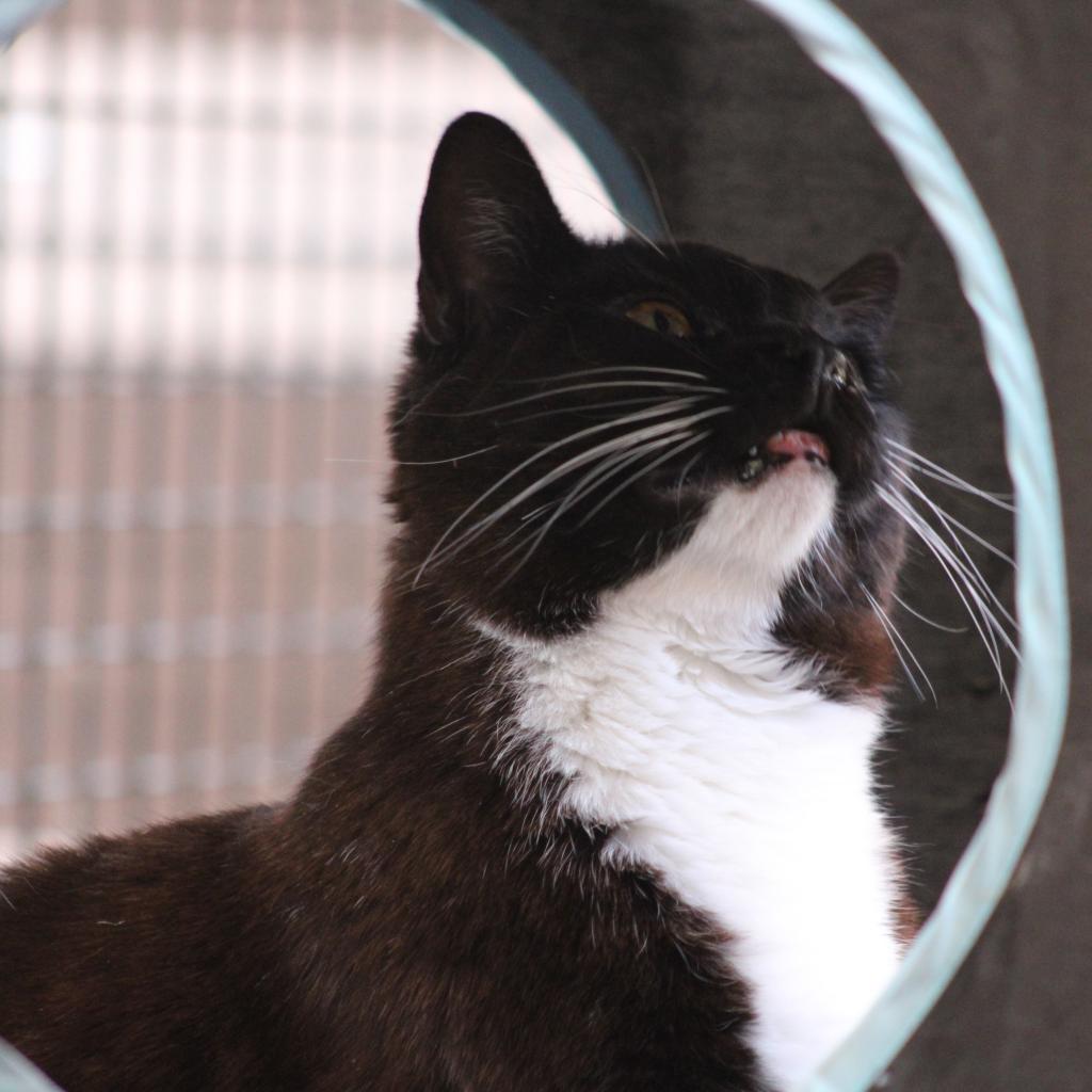 Aaron — thumbnail 3