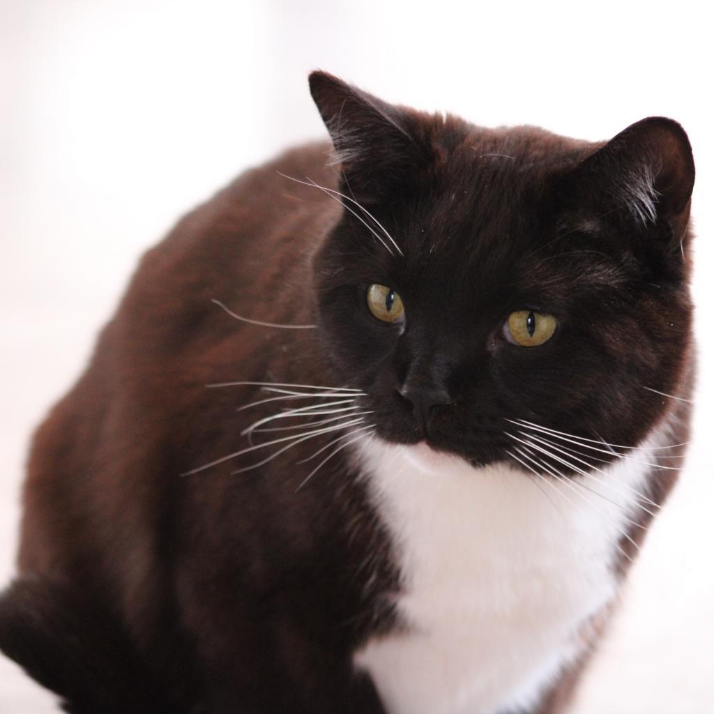 Aaron — thumbnail 5