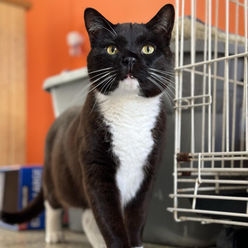 Aaron — thumbnail 6