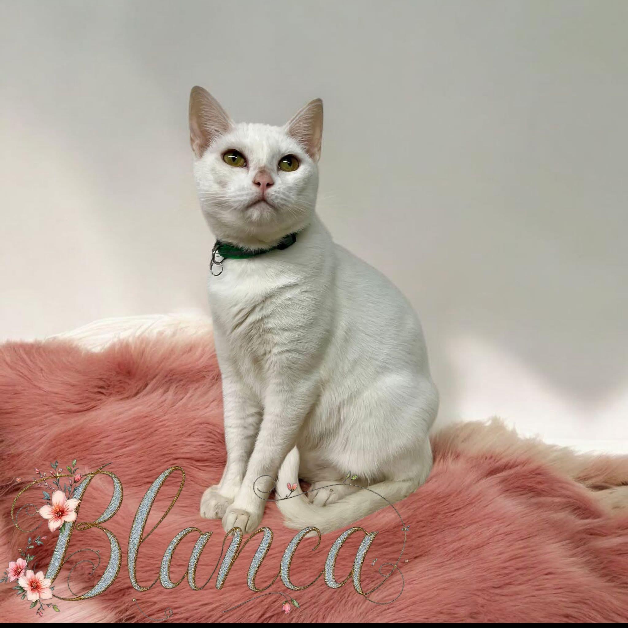 Blanca