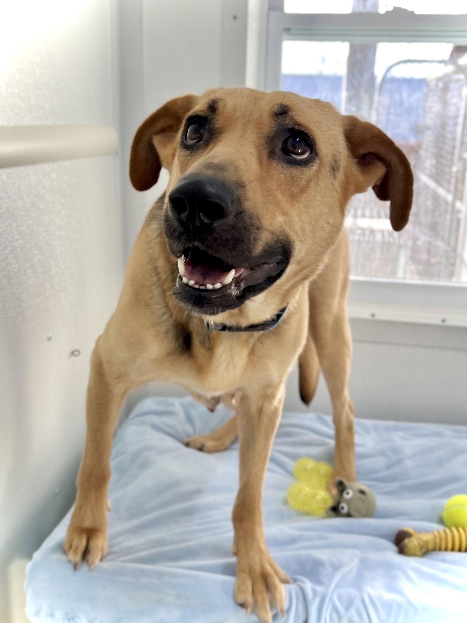 Bruna — thumbnail 2