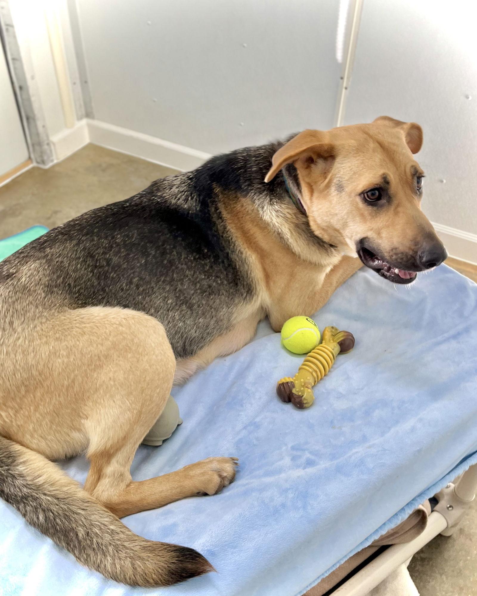 Bruna — thumbnail 3