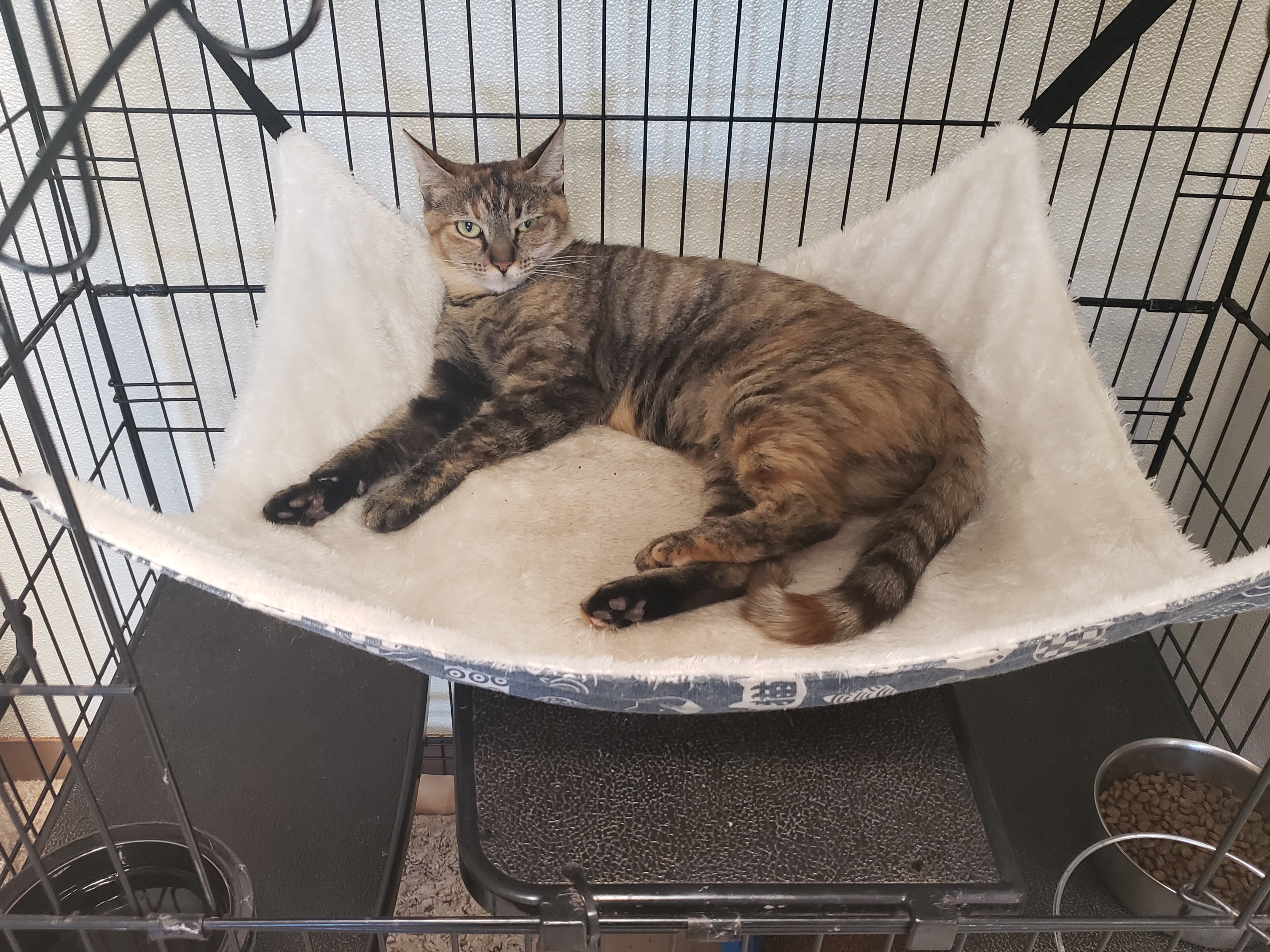 Kiki