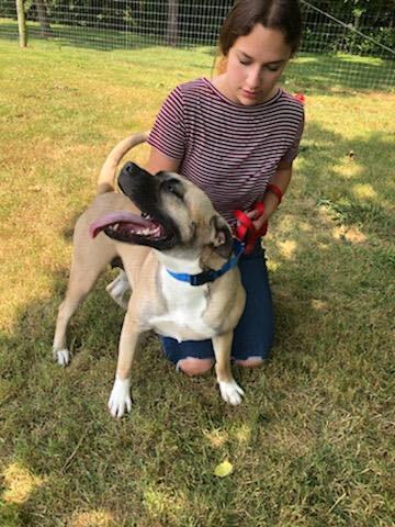 Enlarge Vela, a Adoptable Mixed Breed in Berryville, VA image 2/6