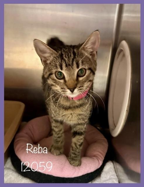 REBA