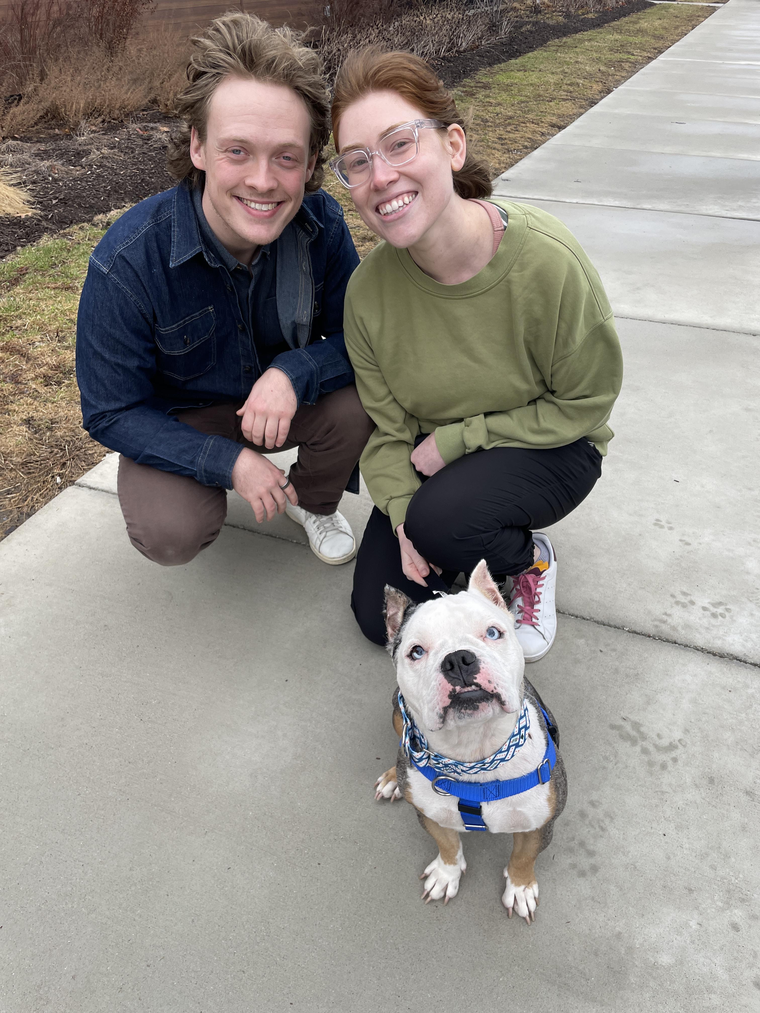 Enlarge Kerrygold, a Adoptable English Bulldog in Wheaton, IL image 6/6