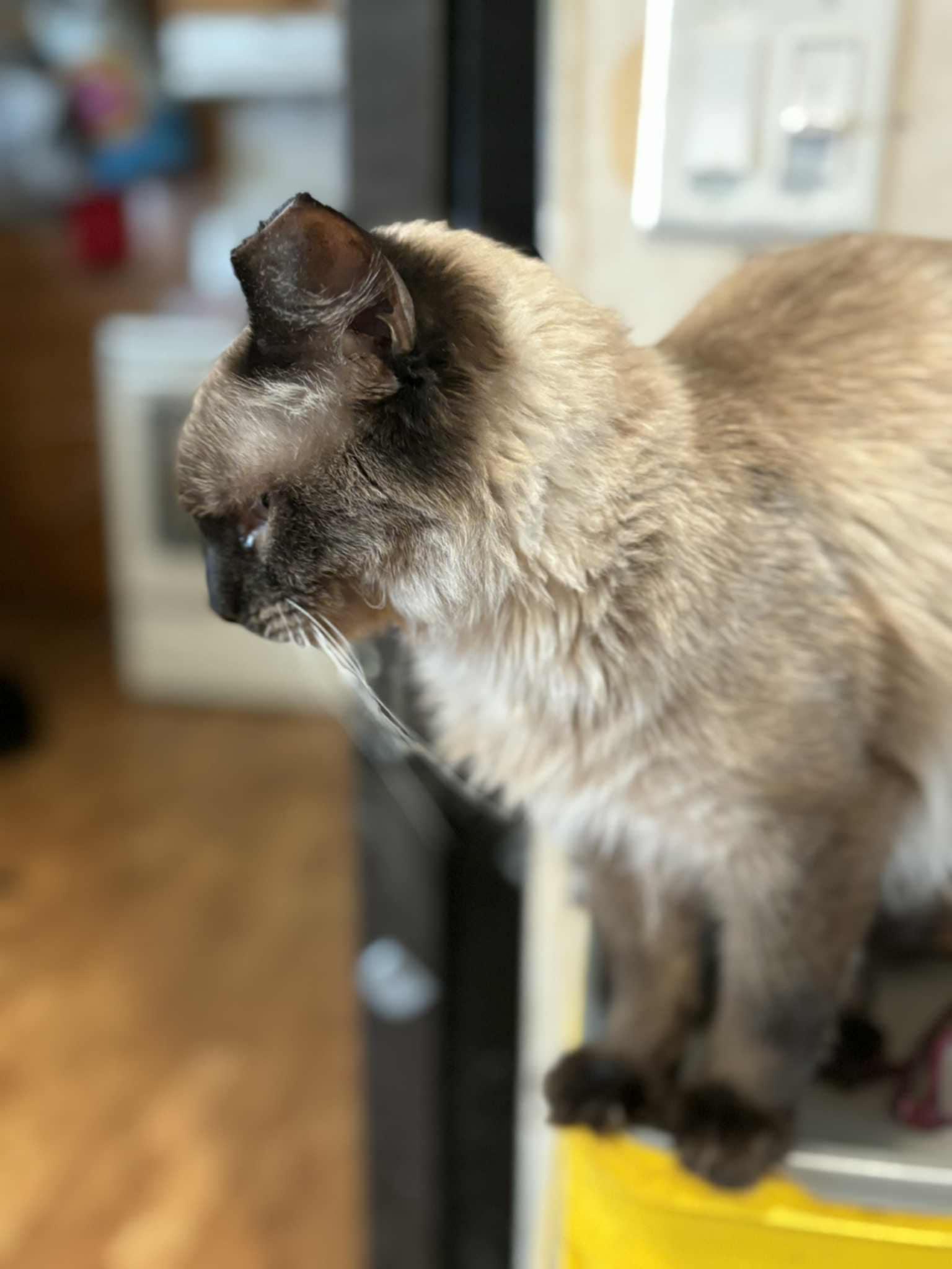 Gunner