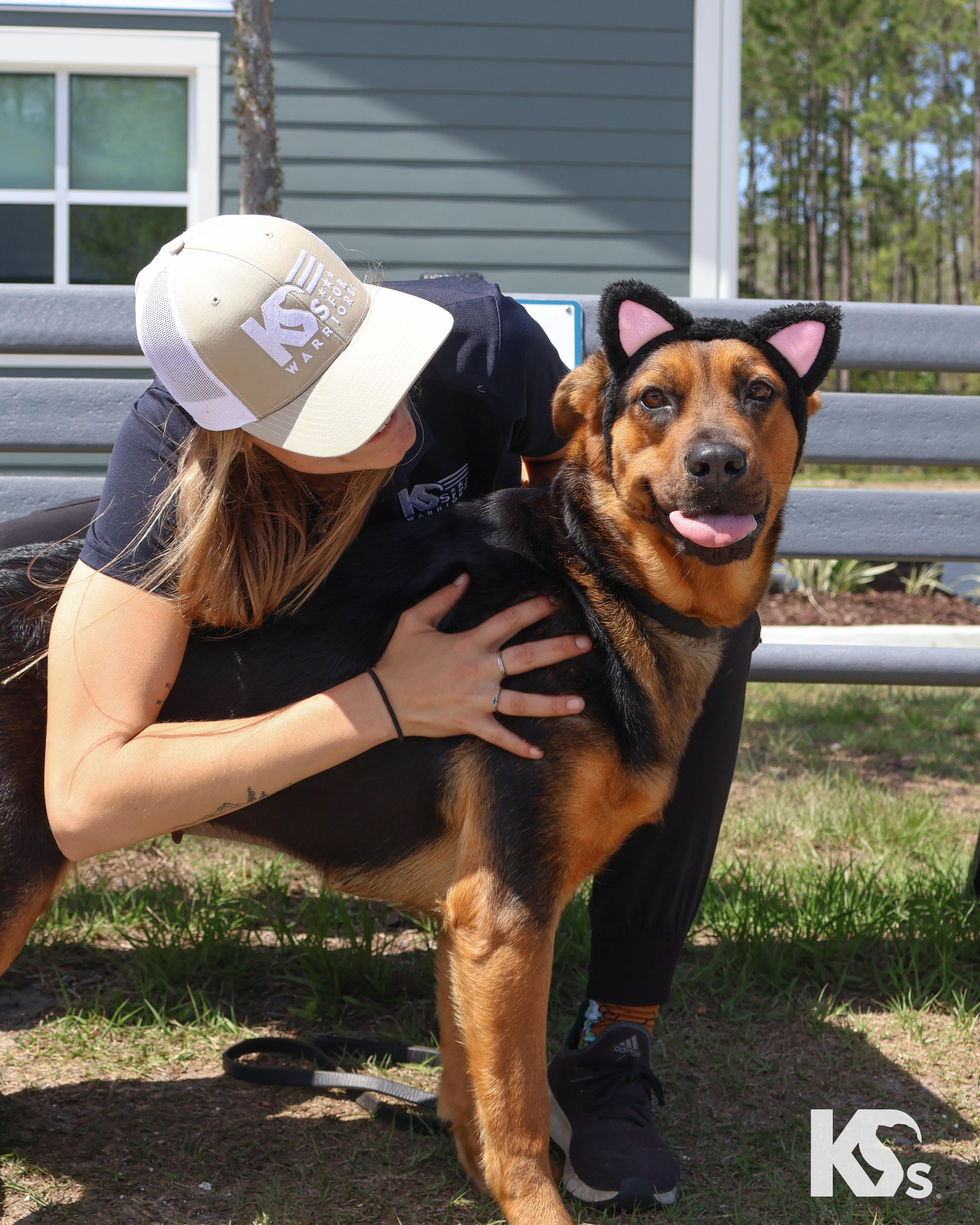 Enlarge Valentina, a ADOPTABLE mixed breed in Ponte Vedra, FL image 6/6