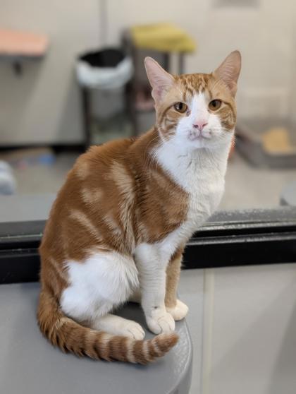 Sleet — thumbnail 2