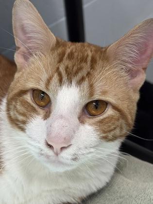 Sleet — thumbnail 3