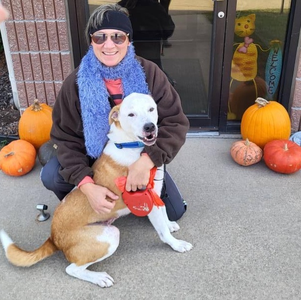 Enlarge Aspen, an adoptable mixed breed in Chilton, WI image 4/5