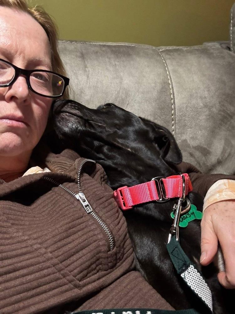 Enlarge Daisy, a Adoptable mixed breed in Willingboro, NJ image 2/5