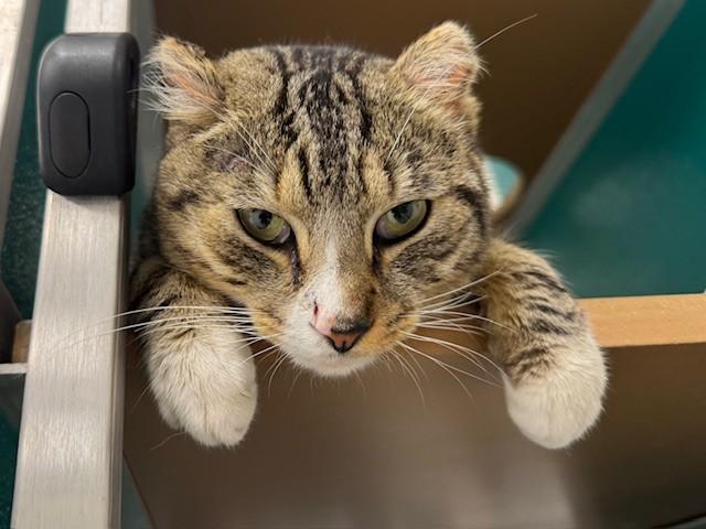 SCOTT — thumbnail 2