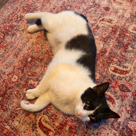 Nina — thumbnail 2