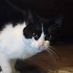 Nina — thumbnail 3