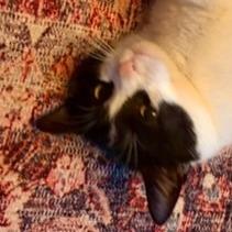 Nina — thumbnail 4