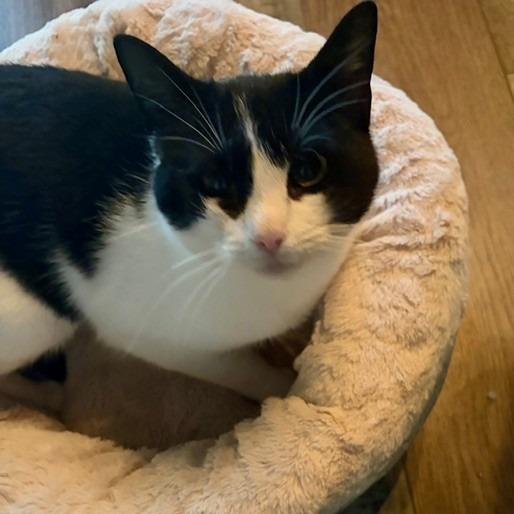 Nina — thumbnail 5