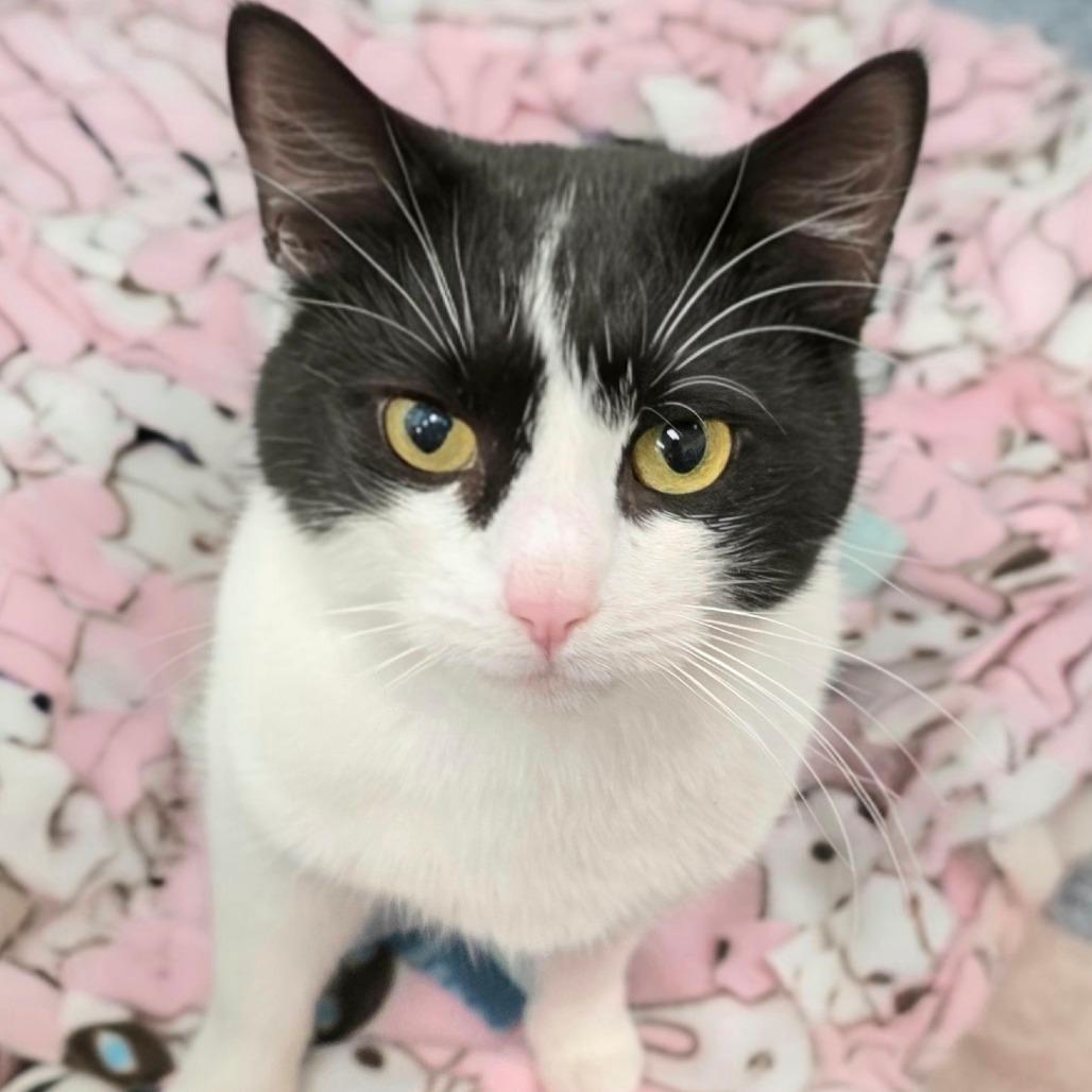 Nina — thumbnail 6