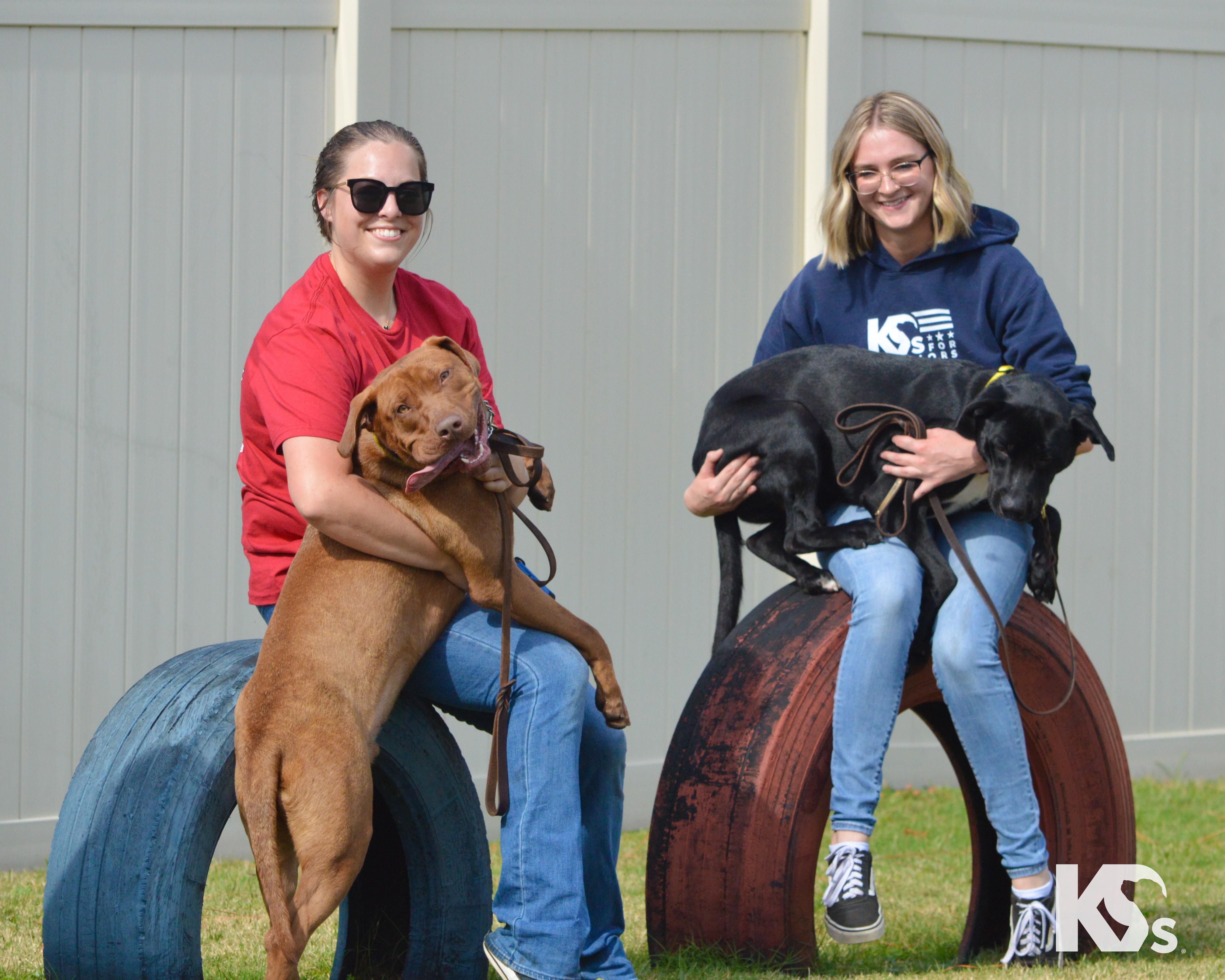 Enlarge Espresso, a Adoptable mixed breed in Ponte Vedra, FL image 2/6
