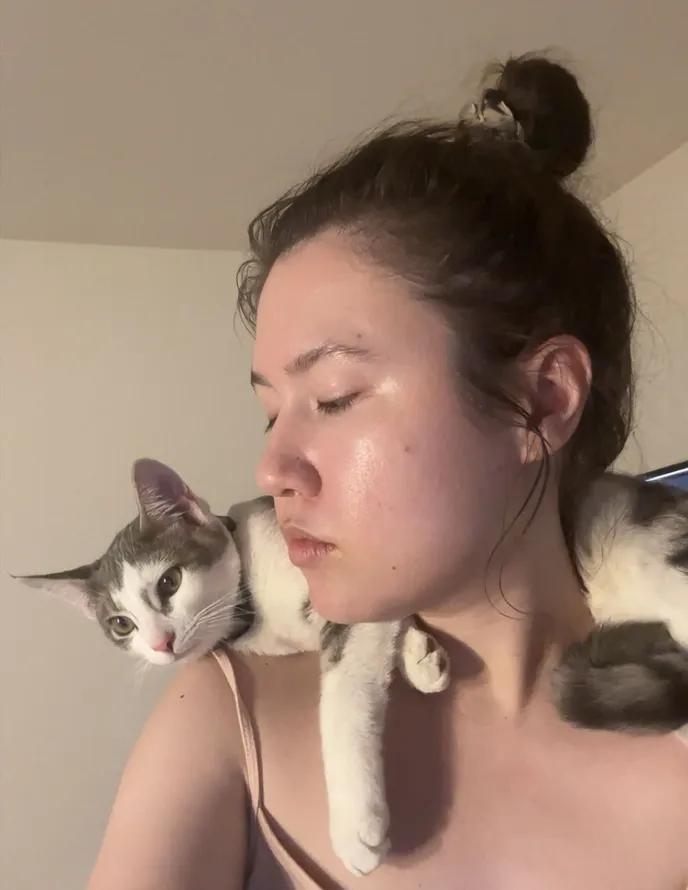 Enlarge Pablo Picasso, an adopted Domestic Short Hair in Weehawken, NJ image 6/6