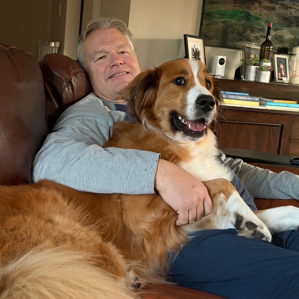 Enlarge Fiona, a Adoptable mixed breed in Glenelg, MD image 2/6