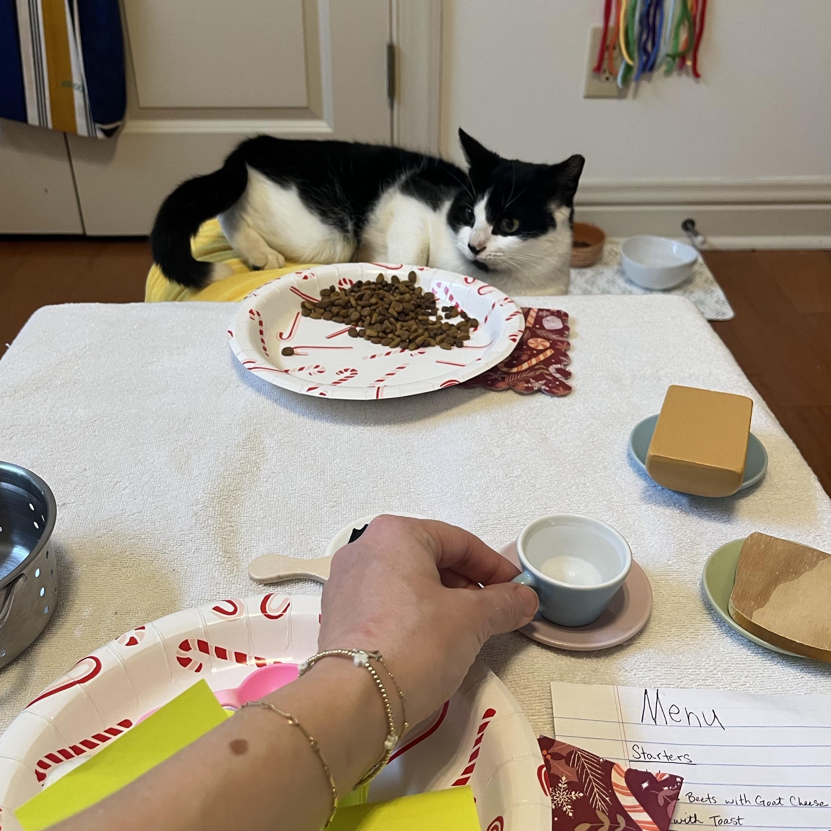 Bailey, a ADOPTABLE Domestic Short Hair in Montgomery, AL image 5/5