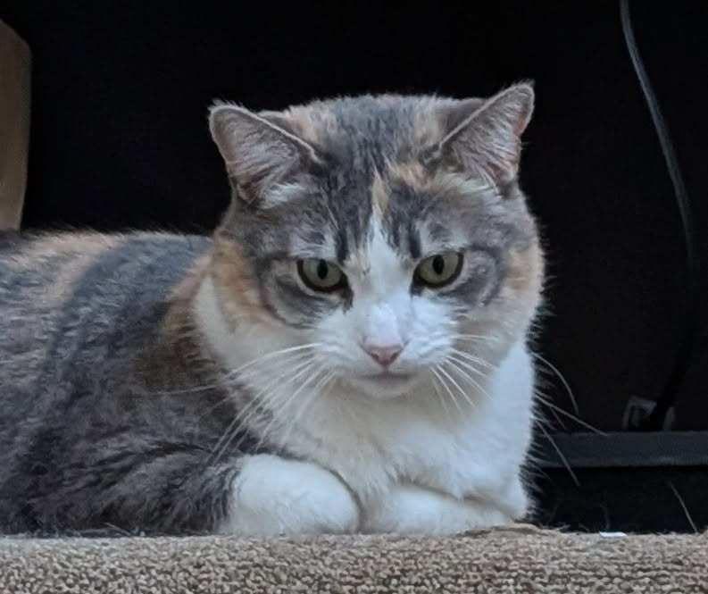 Sophie