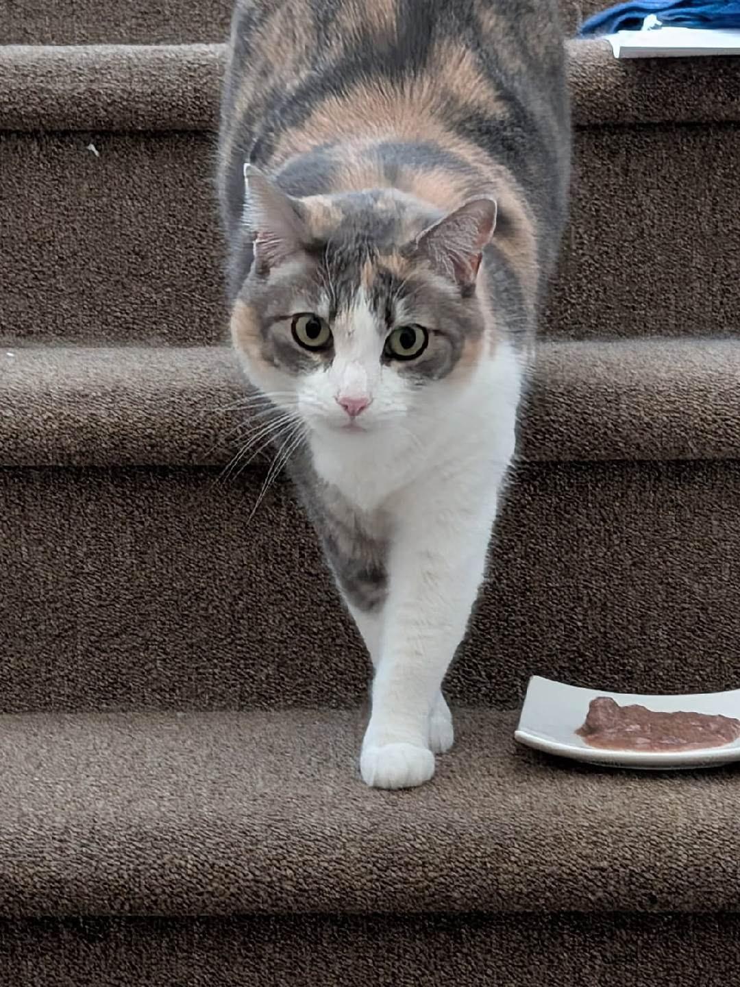 Sophie