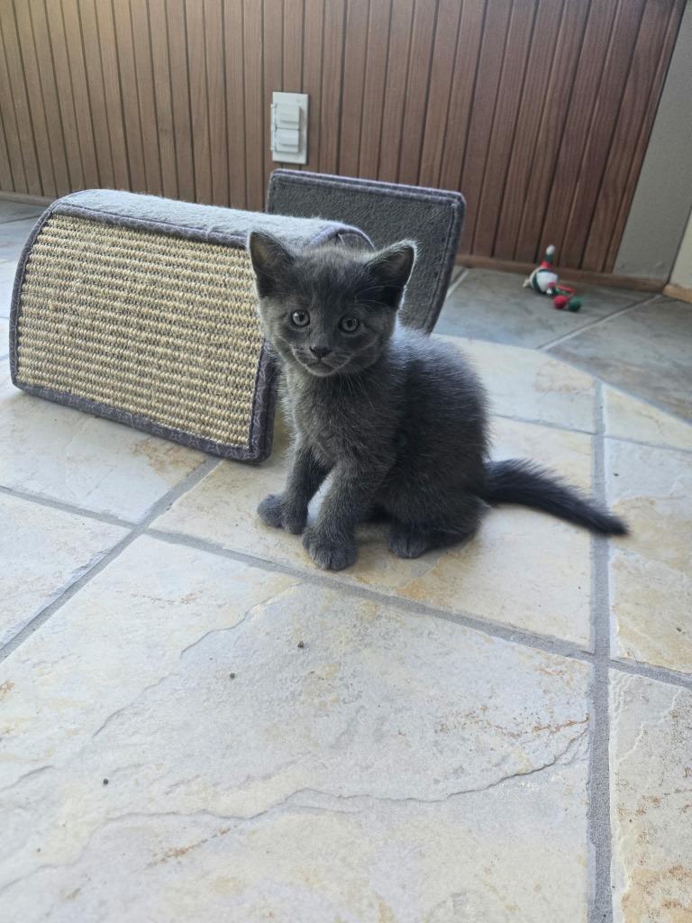Penelope photo