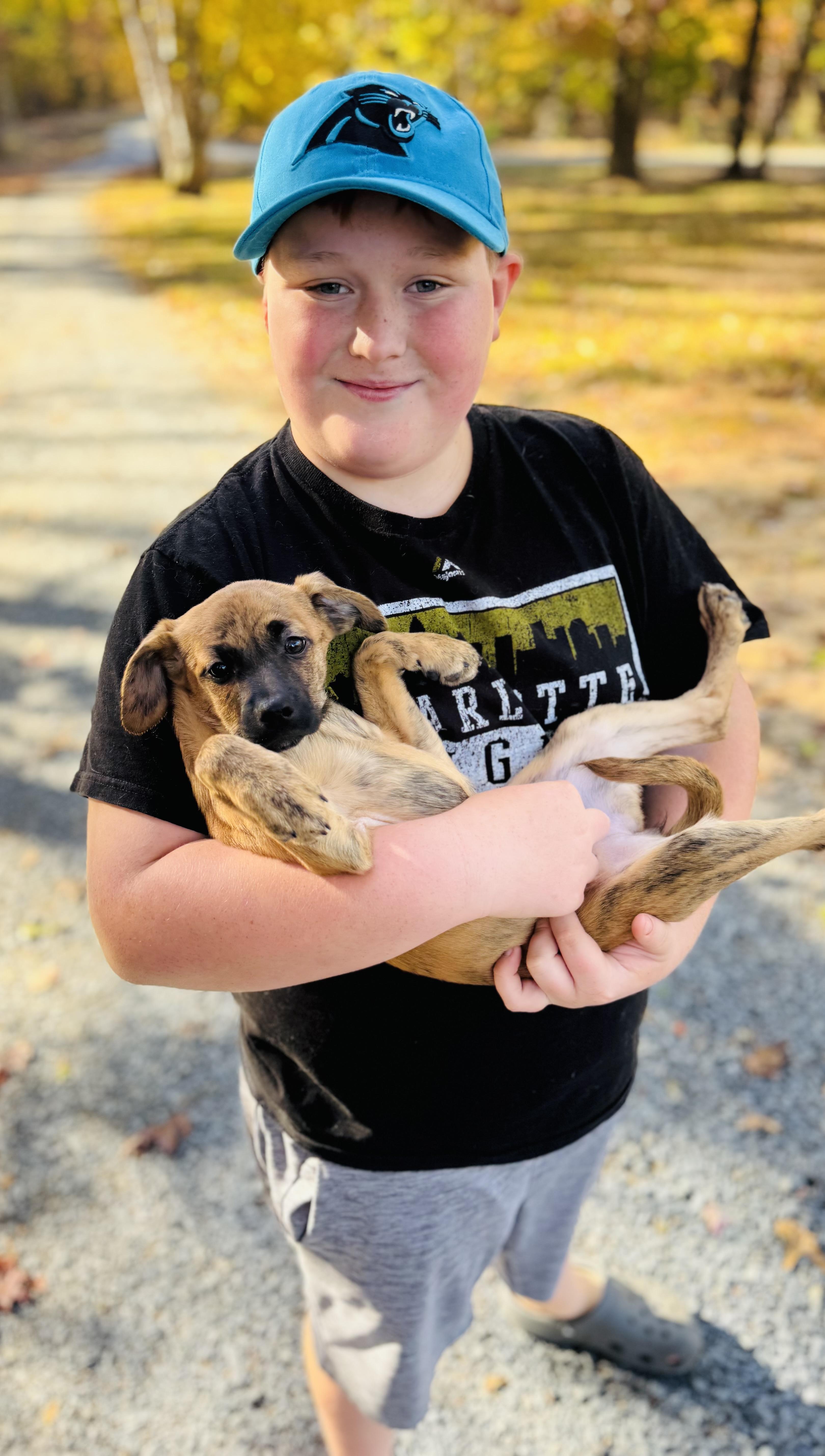 Enlarge Ruby, an adopted mixed breed in Albemarle, NC image 2/2