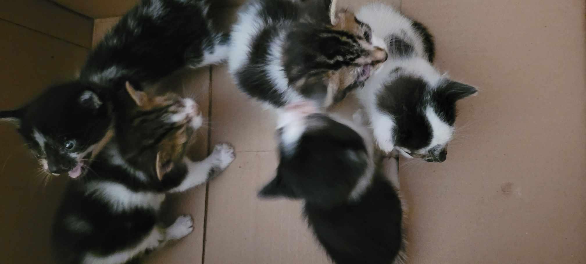 Bottle fed baby 3 of 5