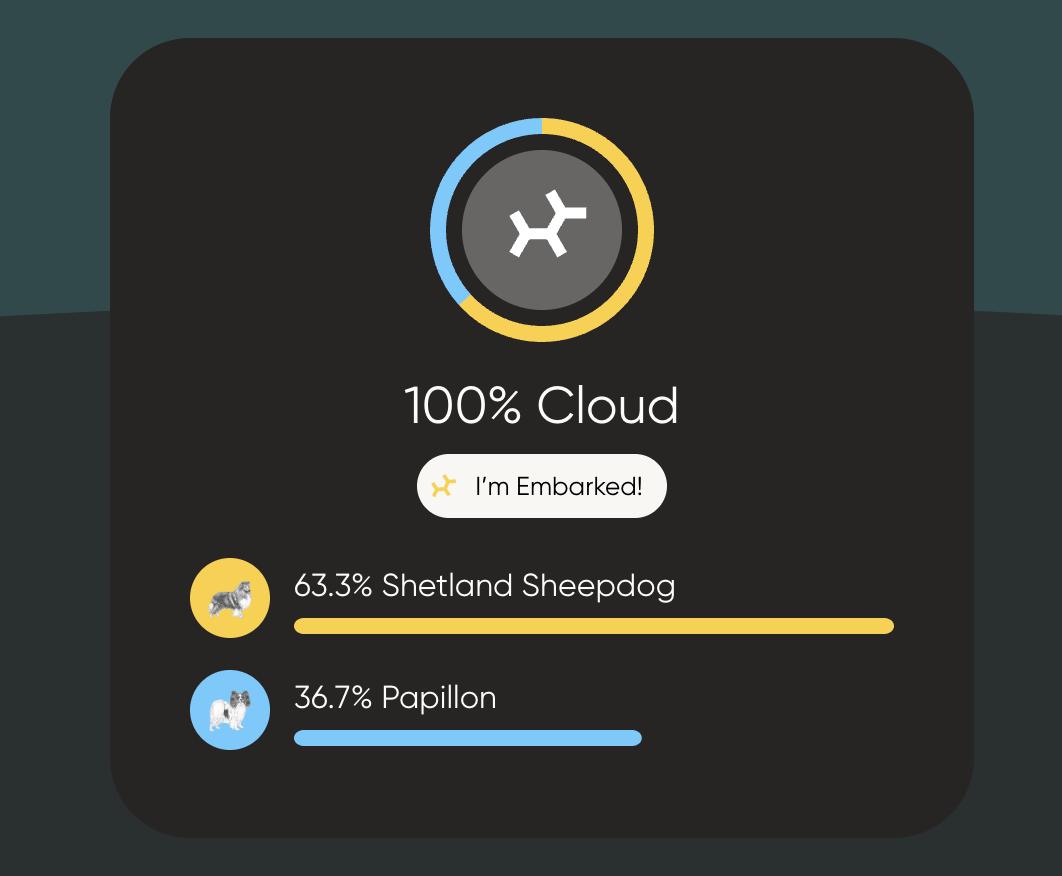 Enlarge Cloud, an adoptable mixed breed in Charlotte, NC image 6/6